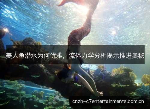 美人鱼潜水为何优雅，流体力学分析揭示推进奥秘